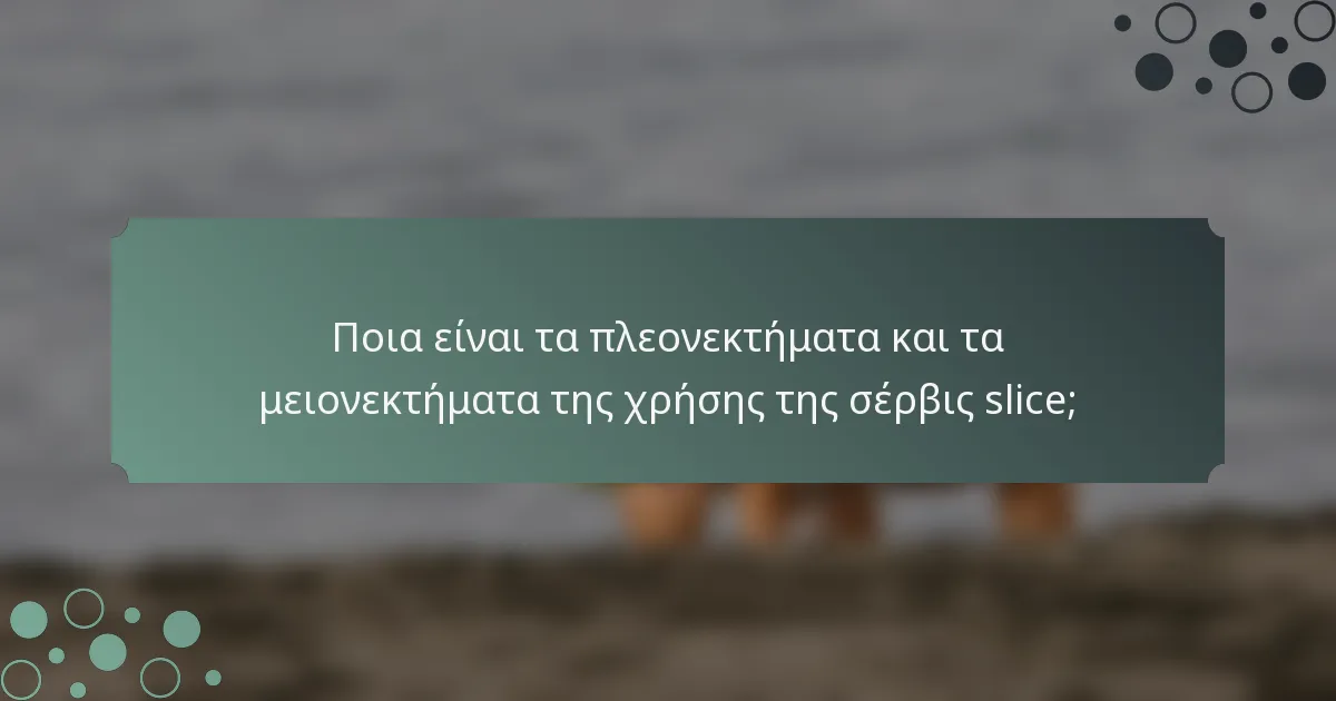 Ποια είναι τα πλεονεκτήματα και τα μειονεκτήματα της χρήσης της σέρβις slice;