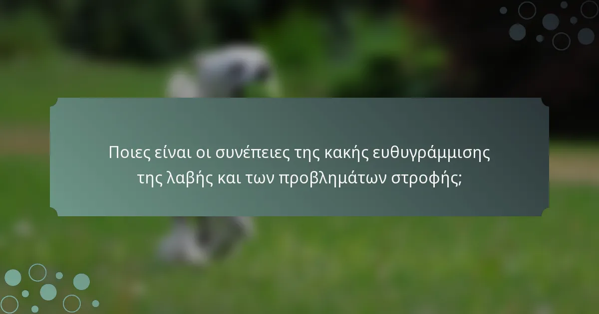 Ποιες είναι οι συνέπειες της κακής ευθυγράμμισης της λαβής και των προβλημάτων στροφής;